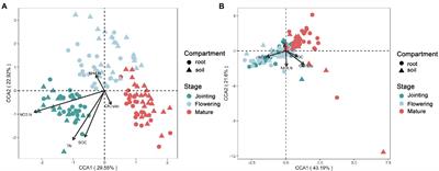 Effects of frequency and amount of stover mulching on soil nitrogen and the microbial functional guilds of the endosphere and rhizosphere